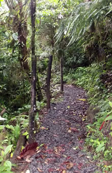 san luis canopy tour